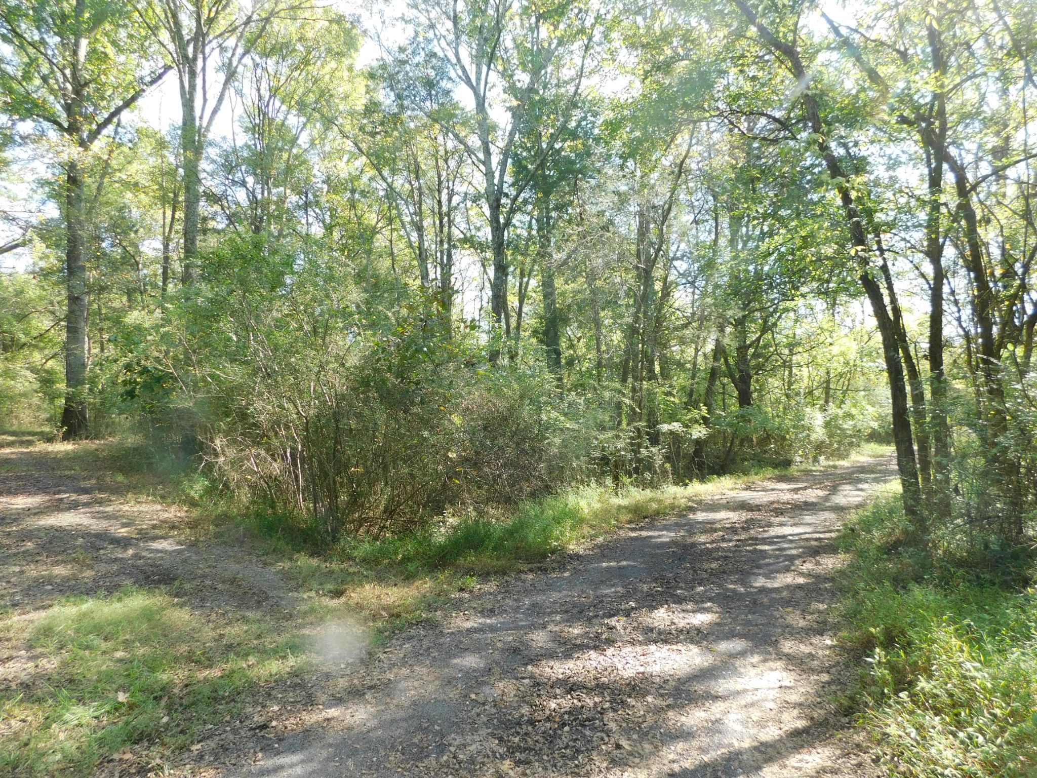 1101 B Hidden Cove Road Gallatin, TN 37066 - Photo 4 of 49 Gallery Image 4