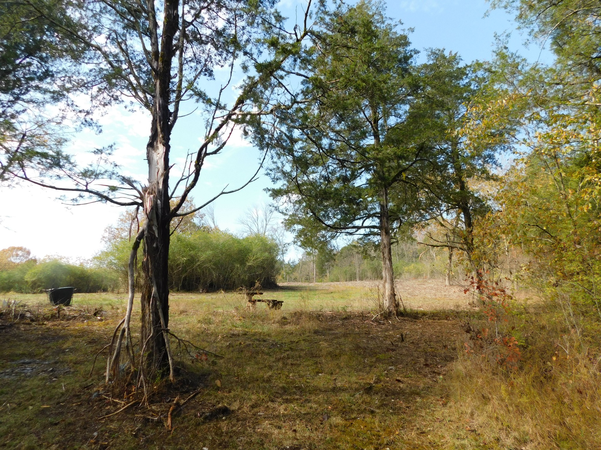1101 B Hidden Cove Road Gallatin, TN 37066 - Photo 46 of 49 Gallery Image 46