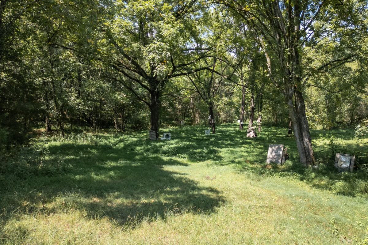 1101 B Hidden Cove Road Gallatin, TN 37066 - Photo 8 of 49 Gallery Image 8