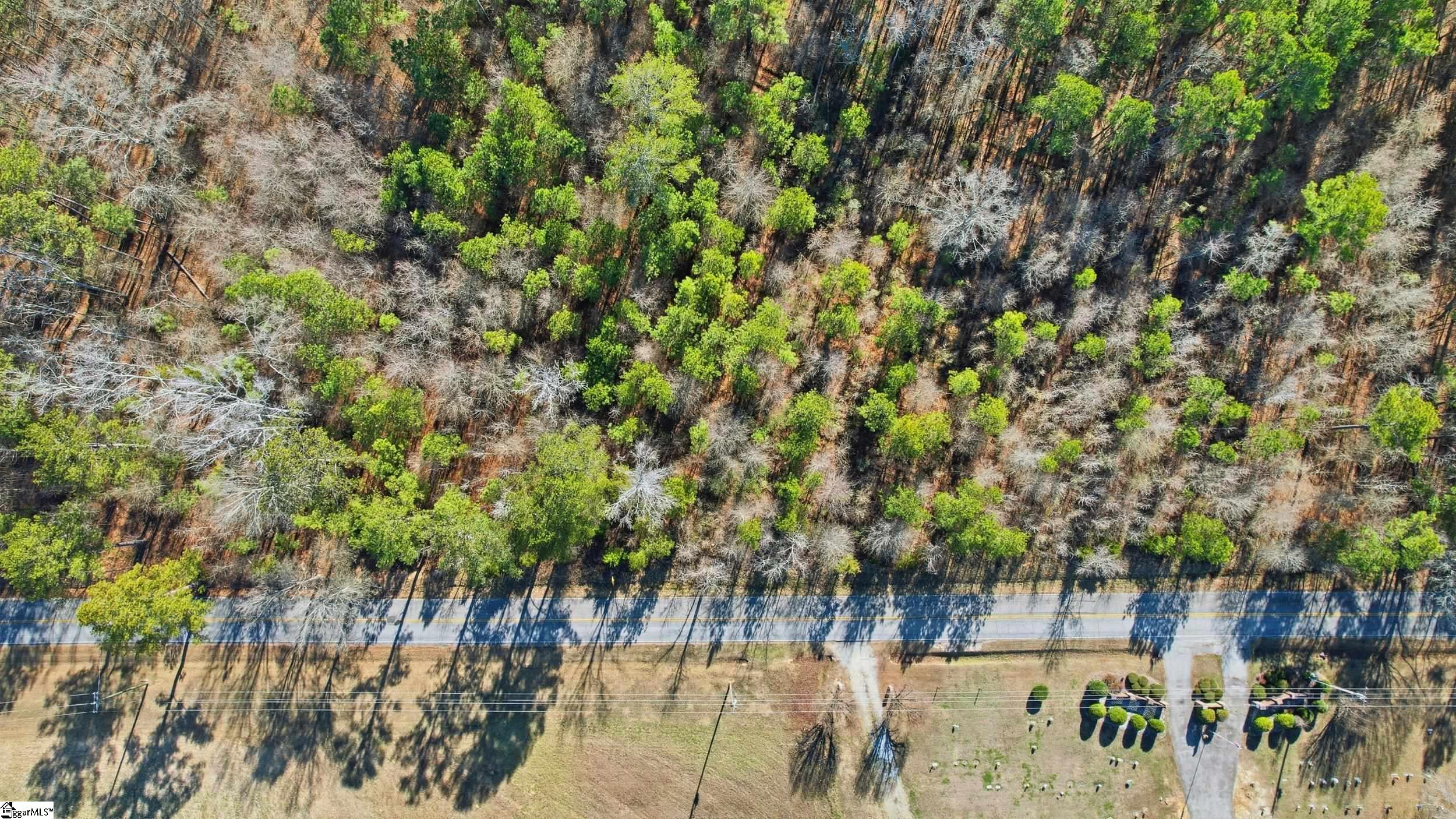 0 Apple Orchard Road Clinton, SC 29325 - Photo 7 of 22