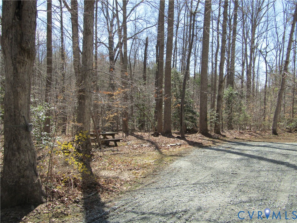 5705 Community House Road Columbia, VA 23038 - Photo 4 of 23