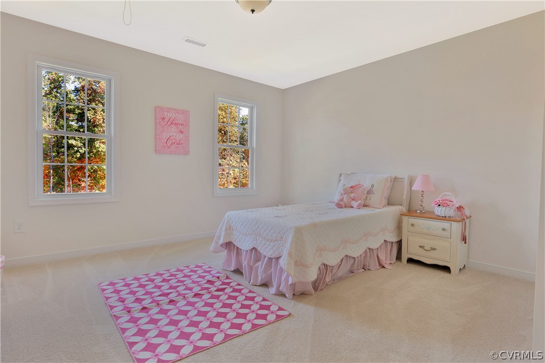 11013 Avening Road Chesterfield, VA 23832 - Photo 16 of 27