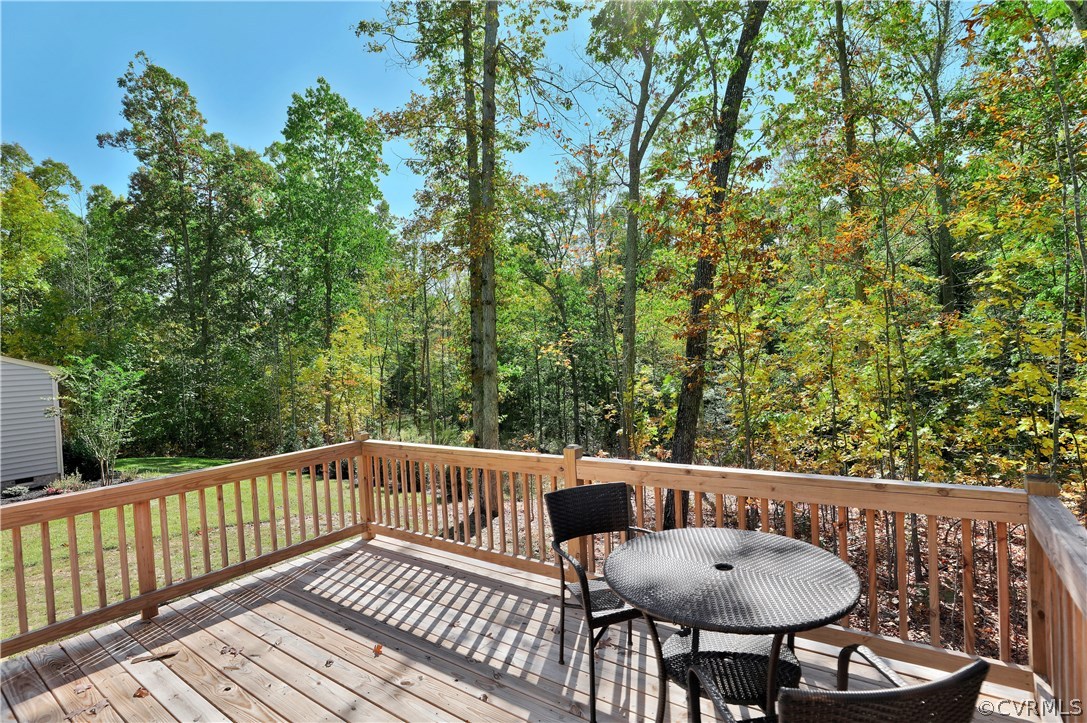11013 Avening Road Chesterfield, VA 23832 - Photo 27 of 27
