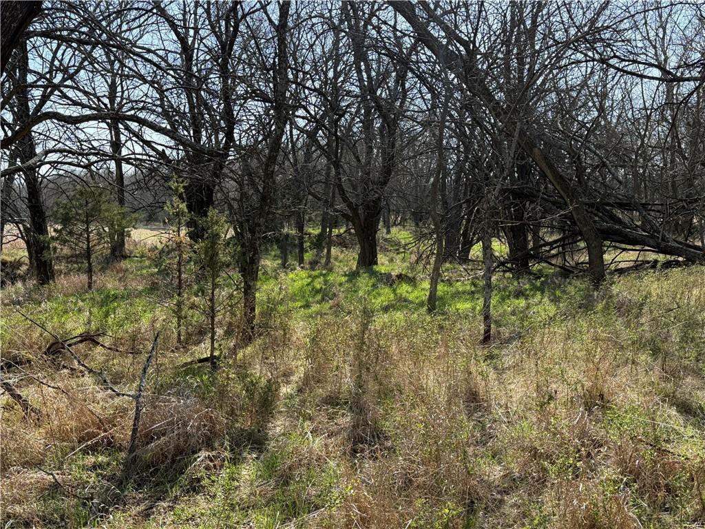 1454 271 St Road Latham, KS 67072 - Photo 63 of 95 Gallery Image 63