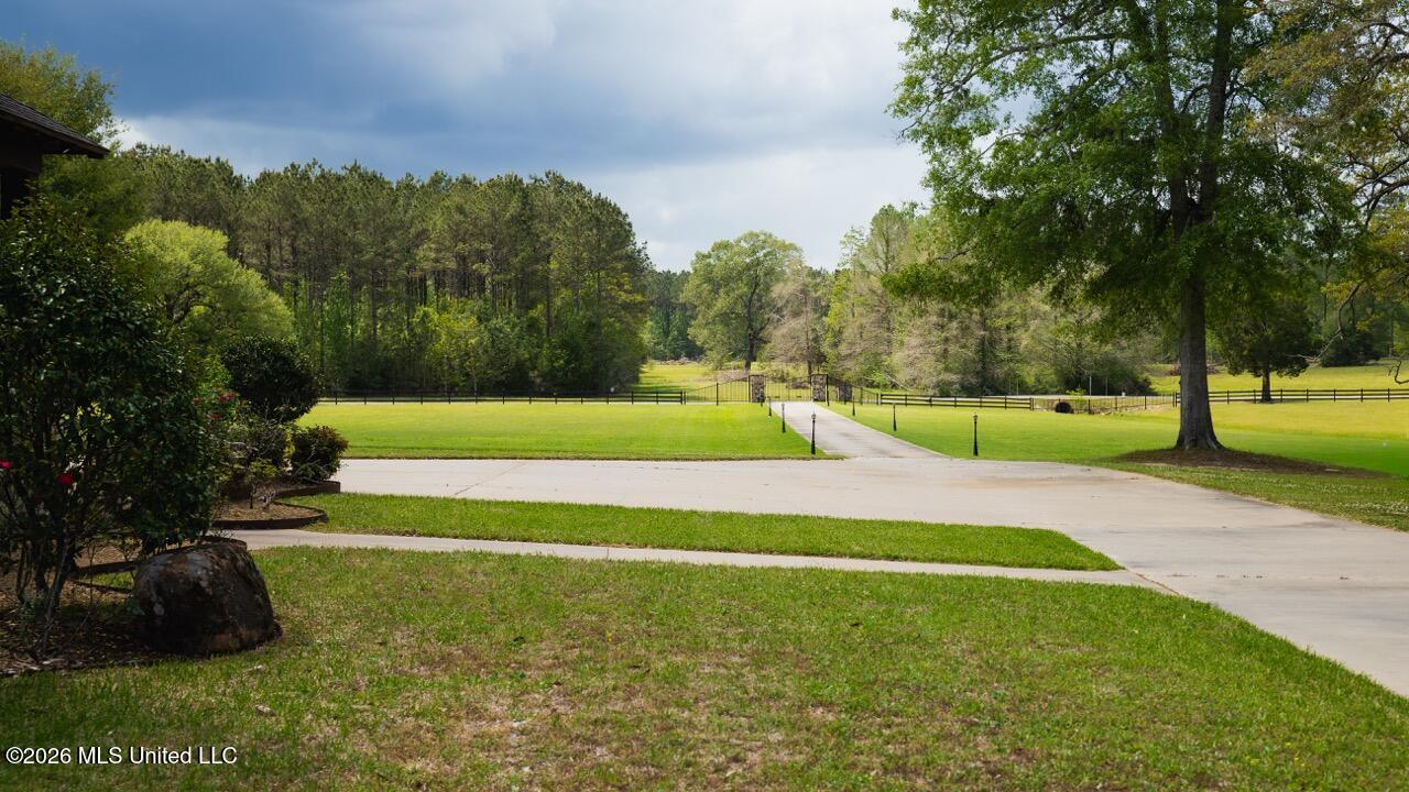 1979 Leman Road Oakdale, LA 71463 - Photo 29 of 44 0R6C9953 Large