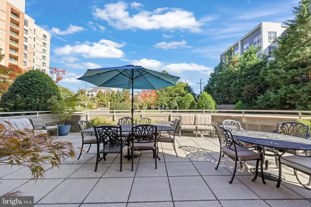 a view of backyard with seating space and trees