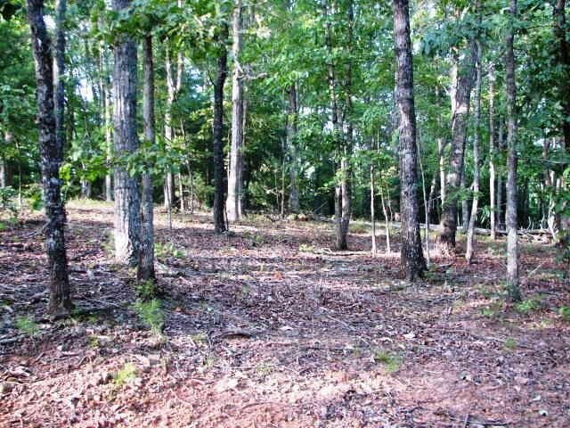 0 Rattlebox Drive Cleveland, GA 30528 - Photo 1 of 1 Gallery Image 1
