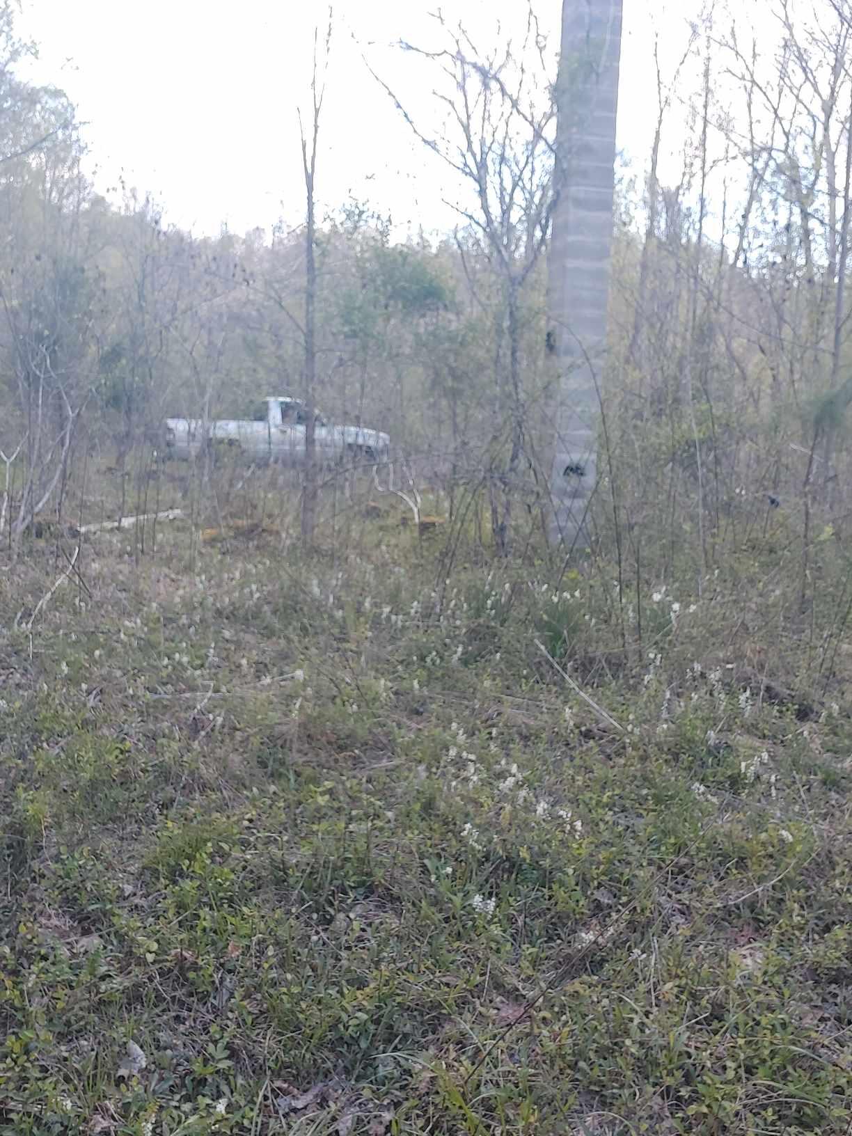 0 Herd Road McKee, KY 40447 - Photo 7 of 10 IMG_1441