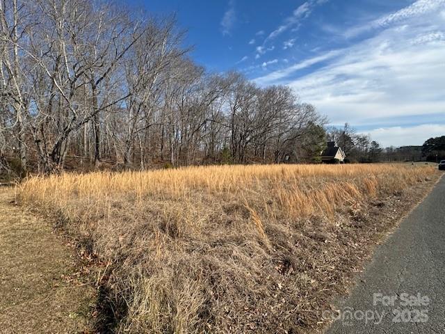 Vac Ridgebrook Lane Locust, NC 28097 - Photo 3 of 4