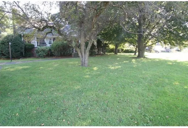 a view of a trees in a yard with large trees
