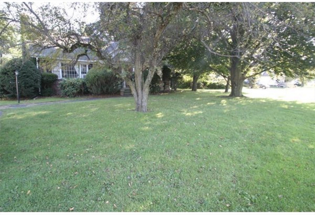 211 Russell Street Hadley, MA 01035 - Photo 2 of 23 a view of a trees in a yard with large trees