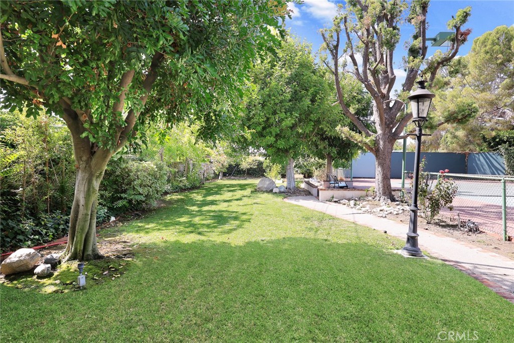 1531 Rodeo Road Arcadia, CA 91006 - Photo 27 of 34 a view of backyard with tree