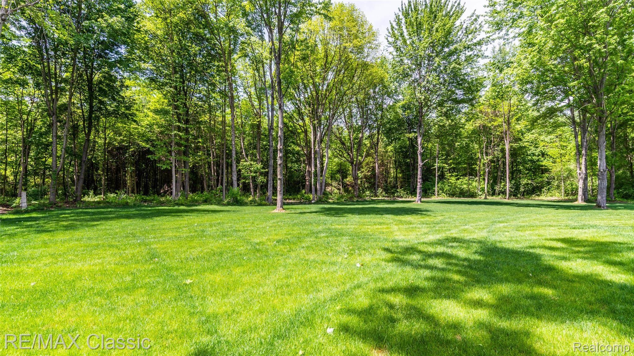 24084 Karr Road Belleville, MI 48111 - Photo 9 of 94 010_78.jpg