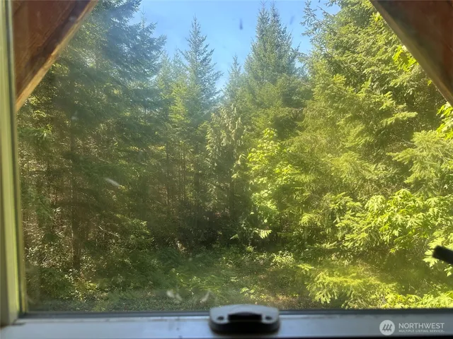 a view of yard from a window