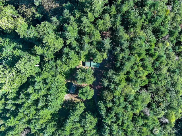 an aerial view of a forest with houses