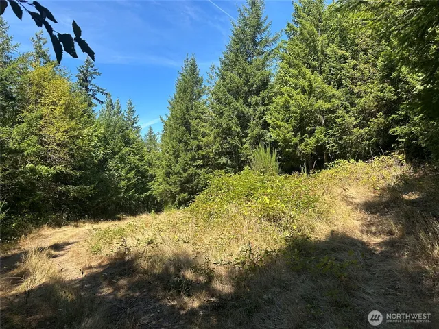 a view of a yard covered in snow
