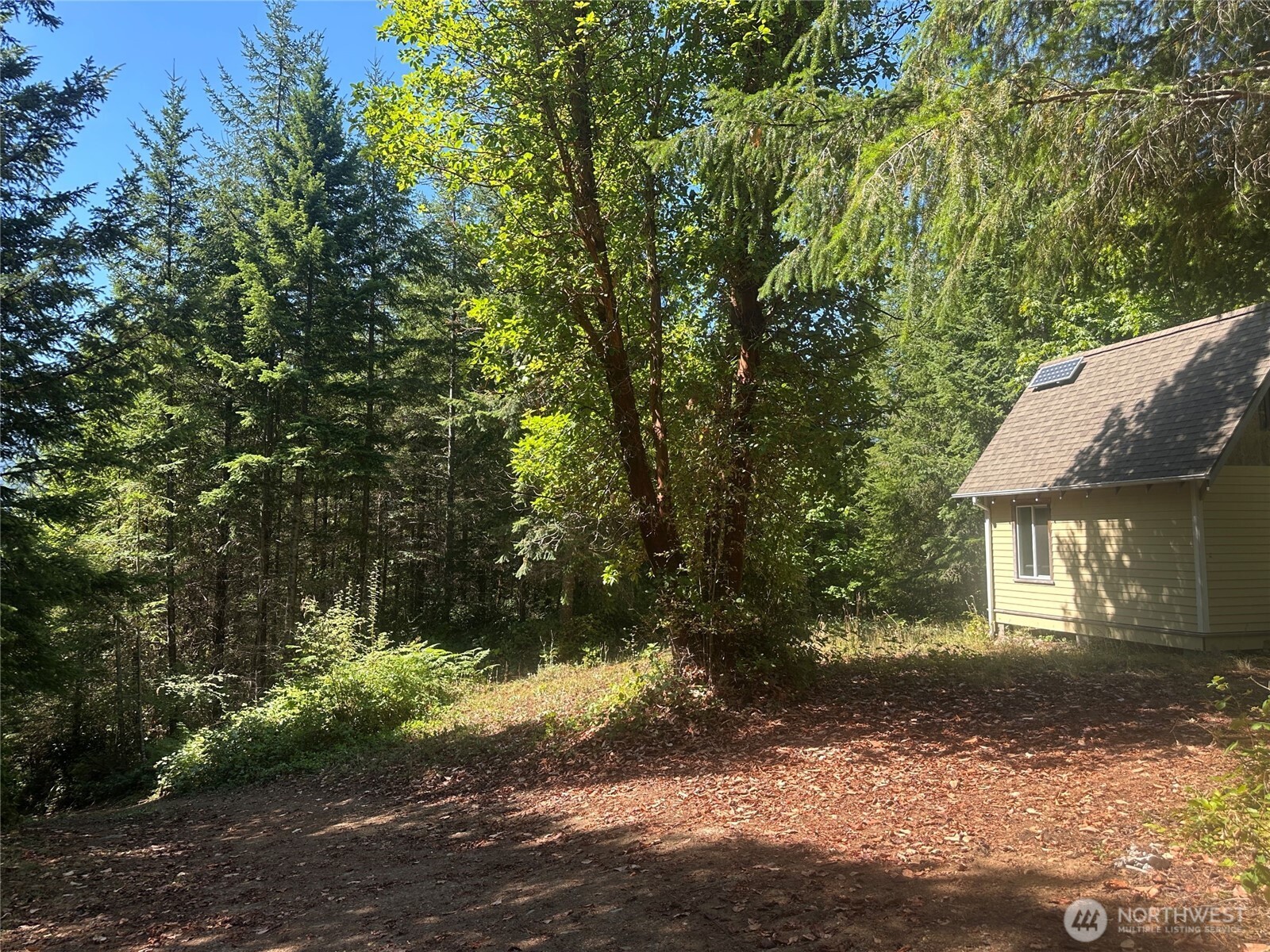 22222-nhn East Quilcene Road Quilcene, WA 98376 - Photo 9 of 39 a view of house in front of a yard with potted plants