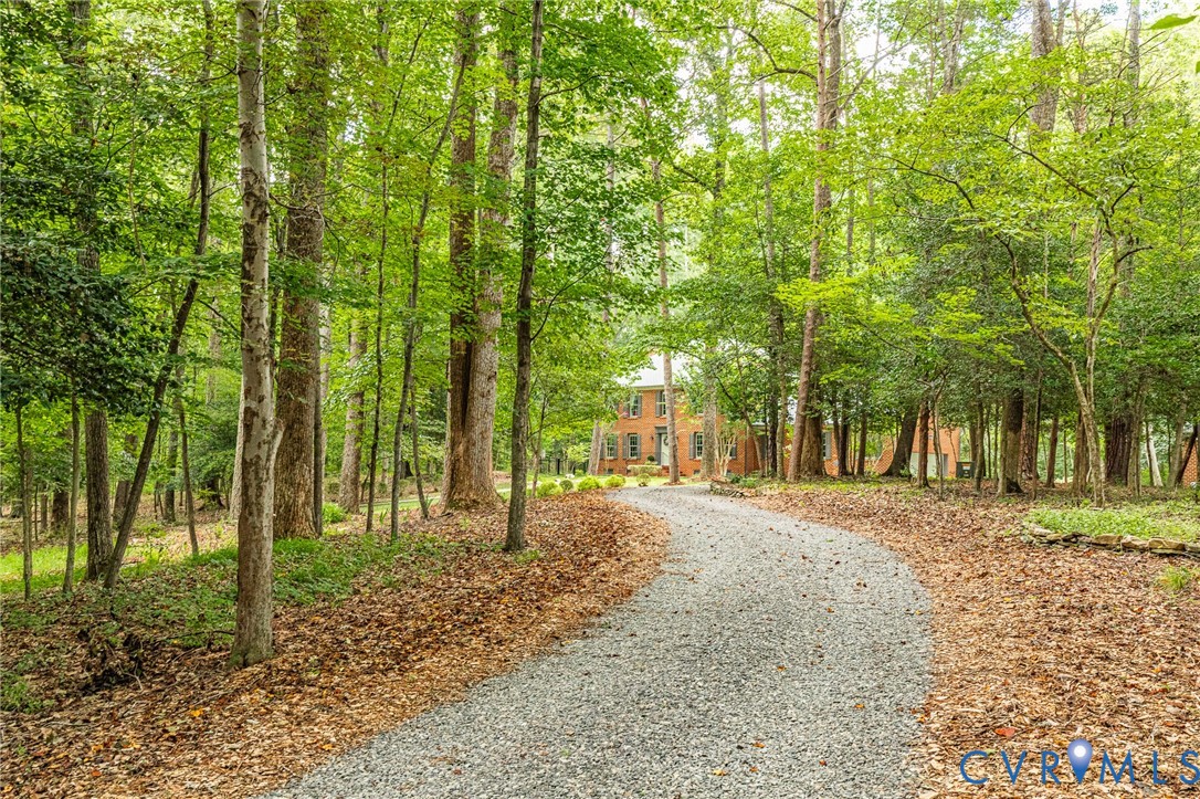 11494 Riveredge Road Doswell, VA 23047 - Photo 48 of 50 Beautiful drive up to your home!