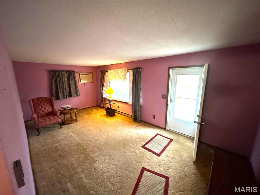 214 Highway 67 Carrollton, IL 62016 - Photo 22 of 25