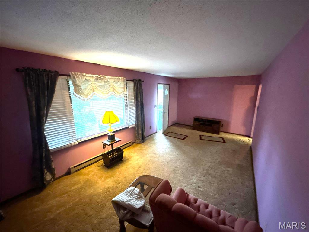 214 Highway 67 Carrollton, IL 62016 - Photo 23 of 25