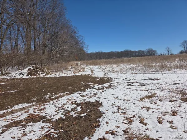 $134,000 | Parcel 3 Mack Road, Howell, MI 48855