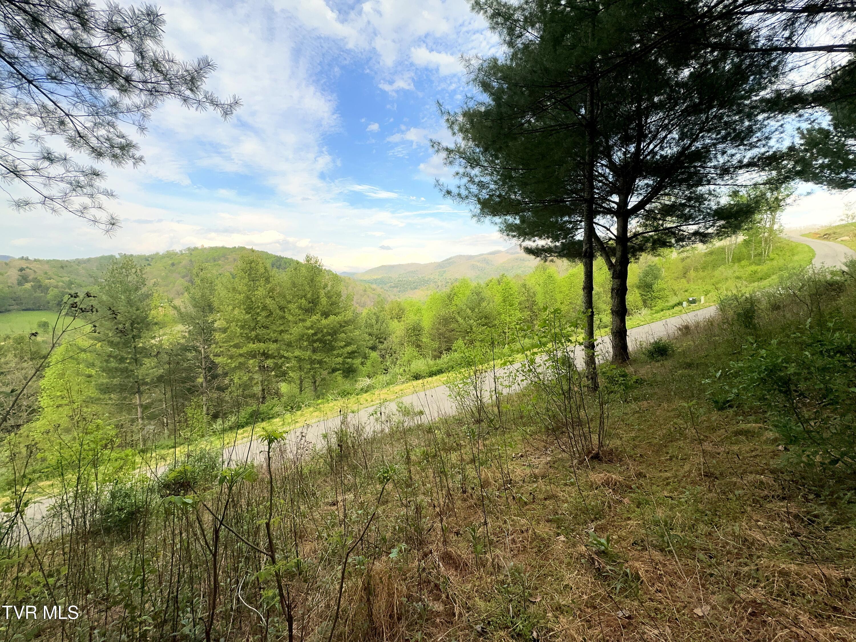 Lot 11 Cowan Town Road, Unit 11 Butler, TN 37640 - Photo 9 of 41 Lot 11 (2)