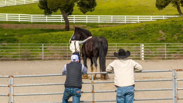 $12,499,000 | 6033 Dagnino Road, Livermore, CA 94551