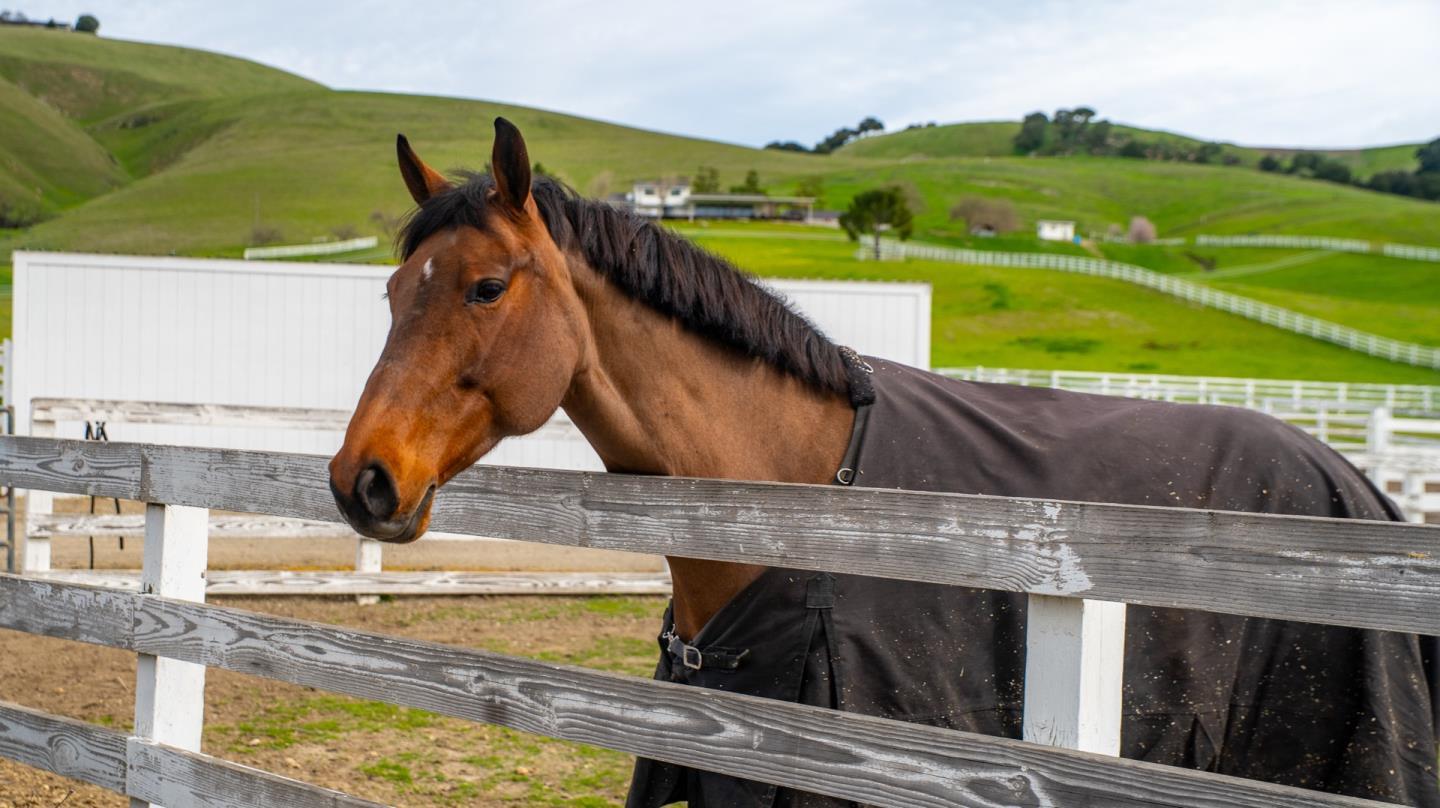 6033 Dagnino Road Livermore, CA 94551 - Photo 89 of 108