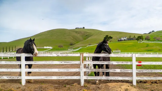 $12,499,000 | 6033 Dagnino Road, Livermore, CA 94551