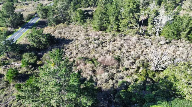 a view of a yard with plants