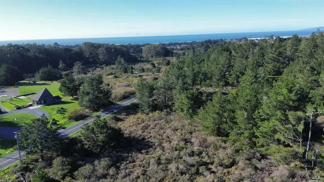 an aerial view of a house with mountain view