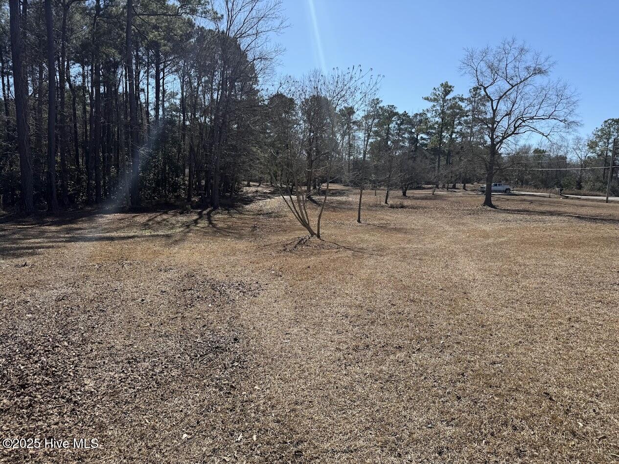 354 Belgrade-Swansboro Road Stella, NC 28582 - Photo 17 of 23 IMG_9218