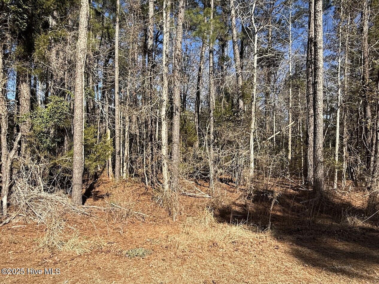 354 Belgrade-Swansboro Road Stella, NC 28582 - Photo 19 of 23 IMG_9225