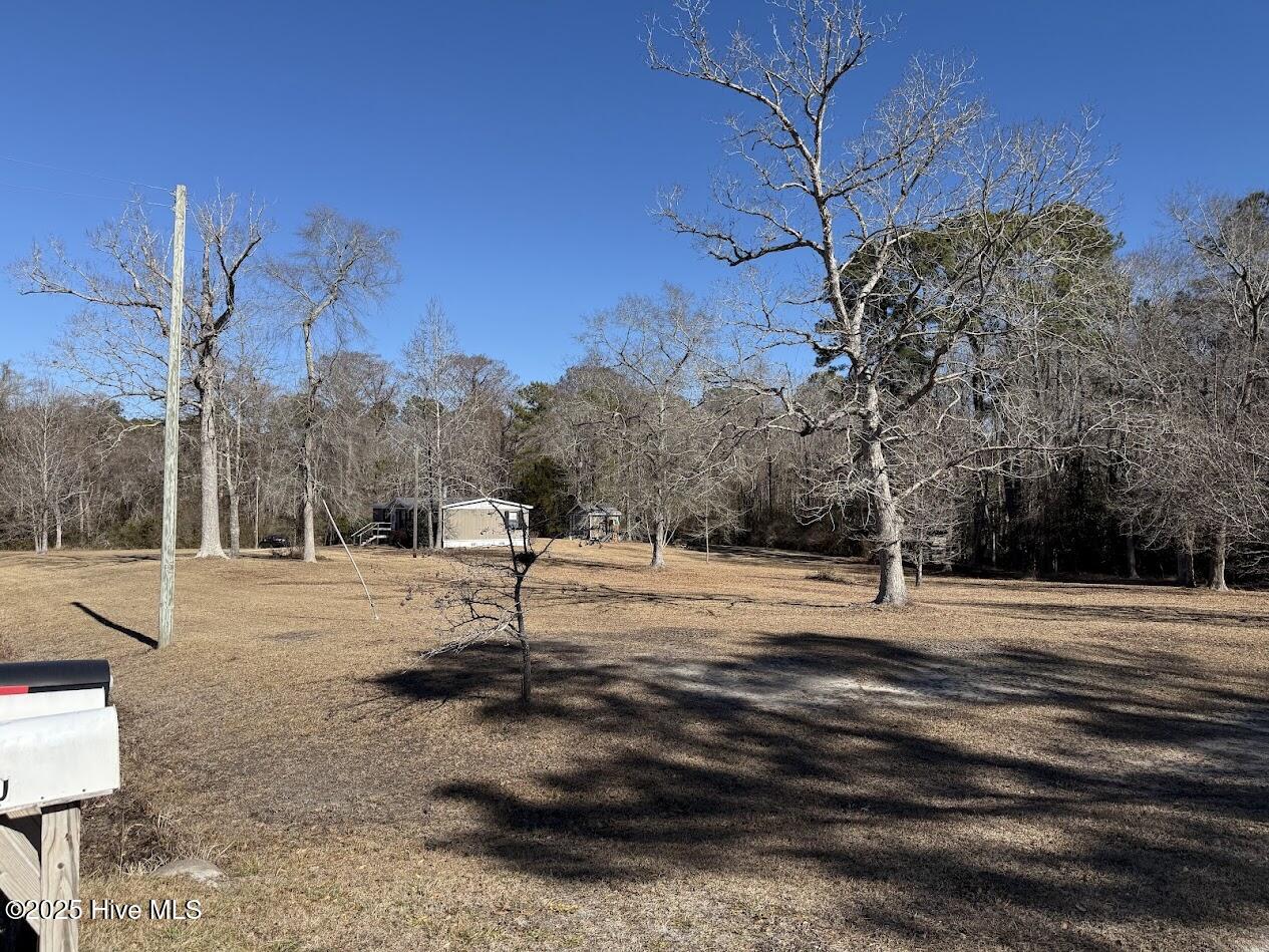 354 Belgrade-Swansboro Road Stella, NC 28582 - Photo 10 of 23 IMG_9201