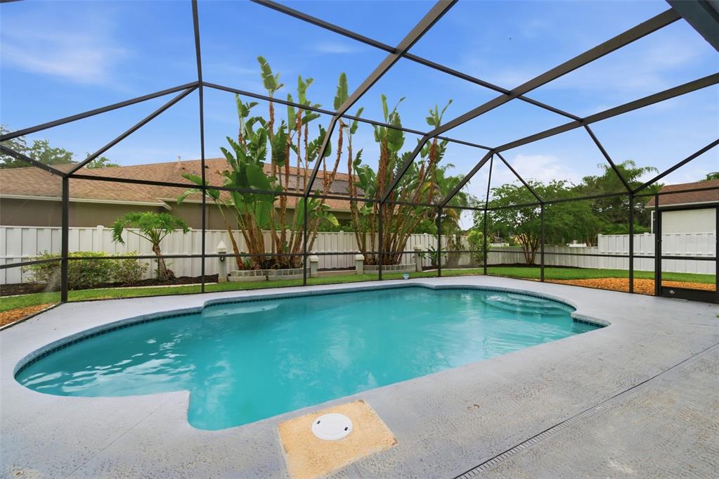 19348 Wind Dancer Street Lutz, FL 33558 - Photo 58 of 83
