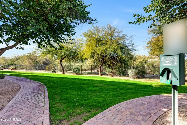 a front view of a garden with a tree