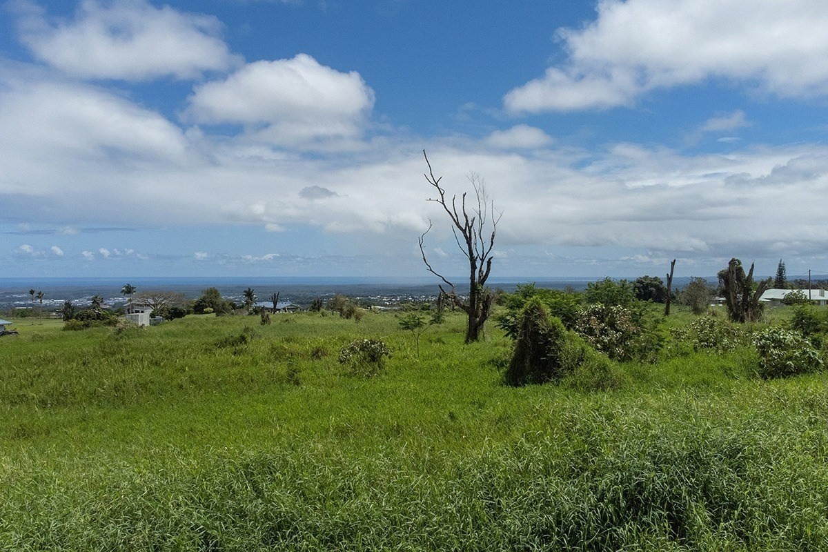4 Lot Hilo, HI 96720 - Photo 7 of 11 a view of a garden