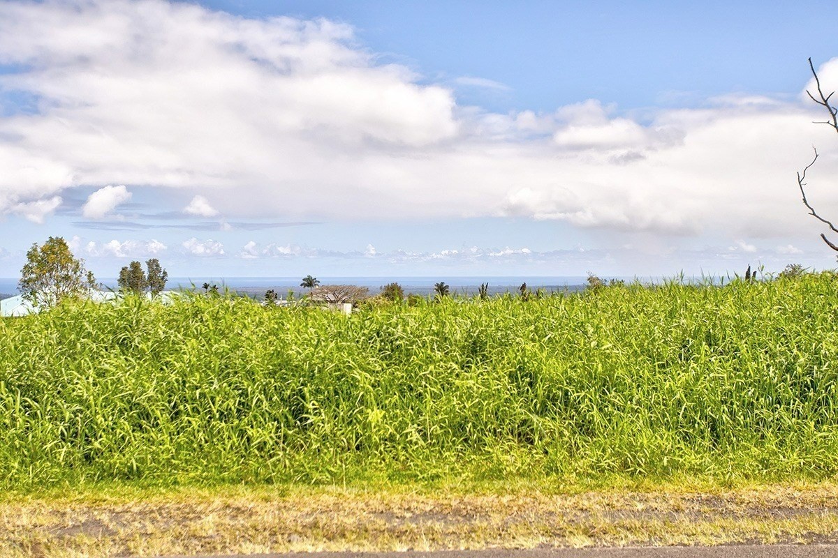4 Lot Hilo, HI 96720 - Photo 9 of 11 a view of a bunch of plants and trees