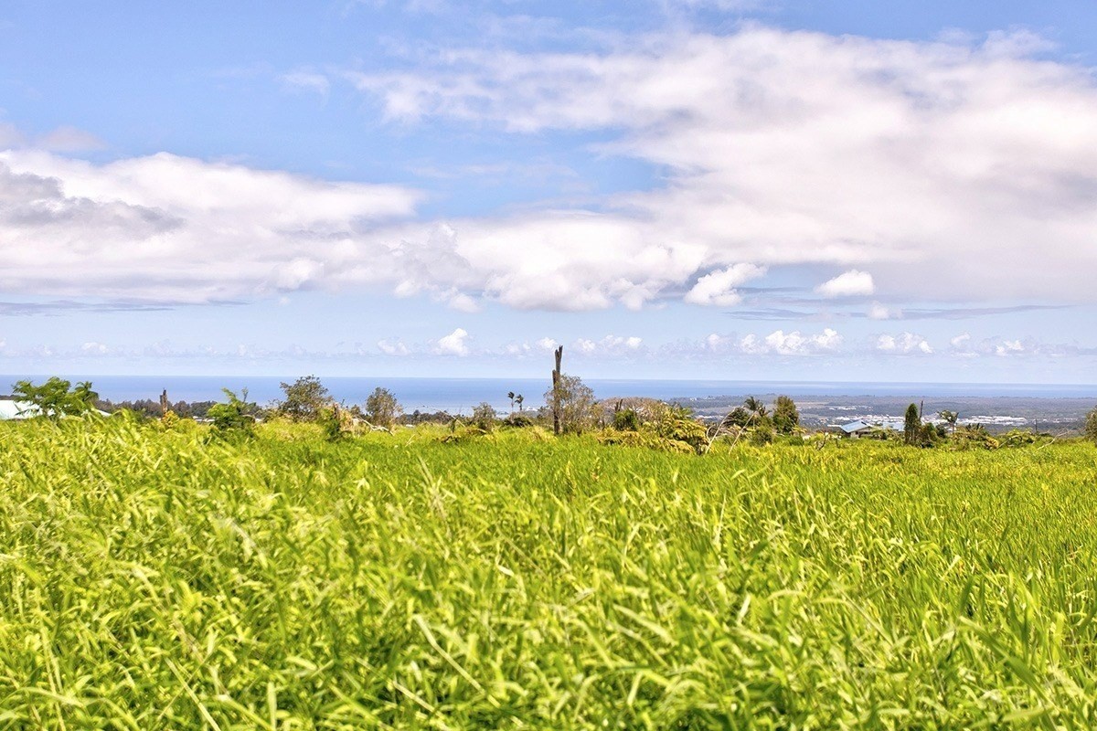 4 Lot Hilo, HI 96720 - Photo 10 of 11 a view of a lake with a big yard