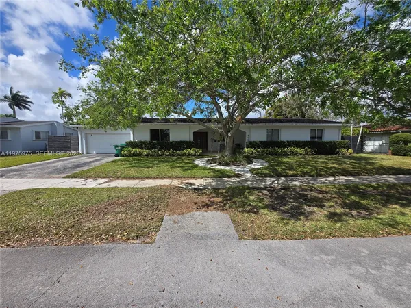 a view of a yard with plants and a tree