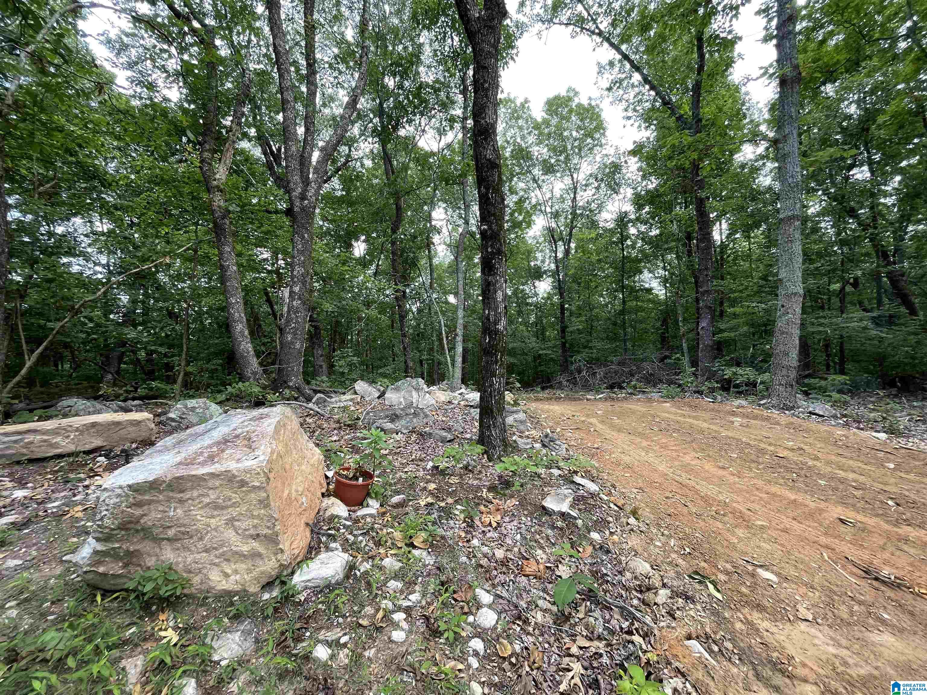 0 Scenic Road Jacksonville, AL 36265 - Photo 9 of 42