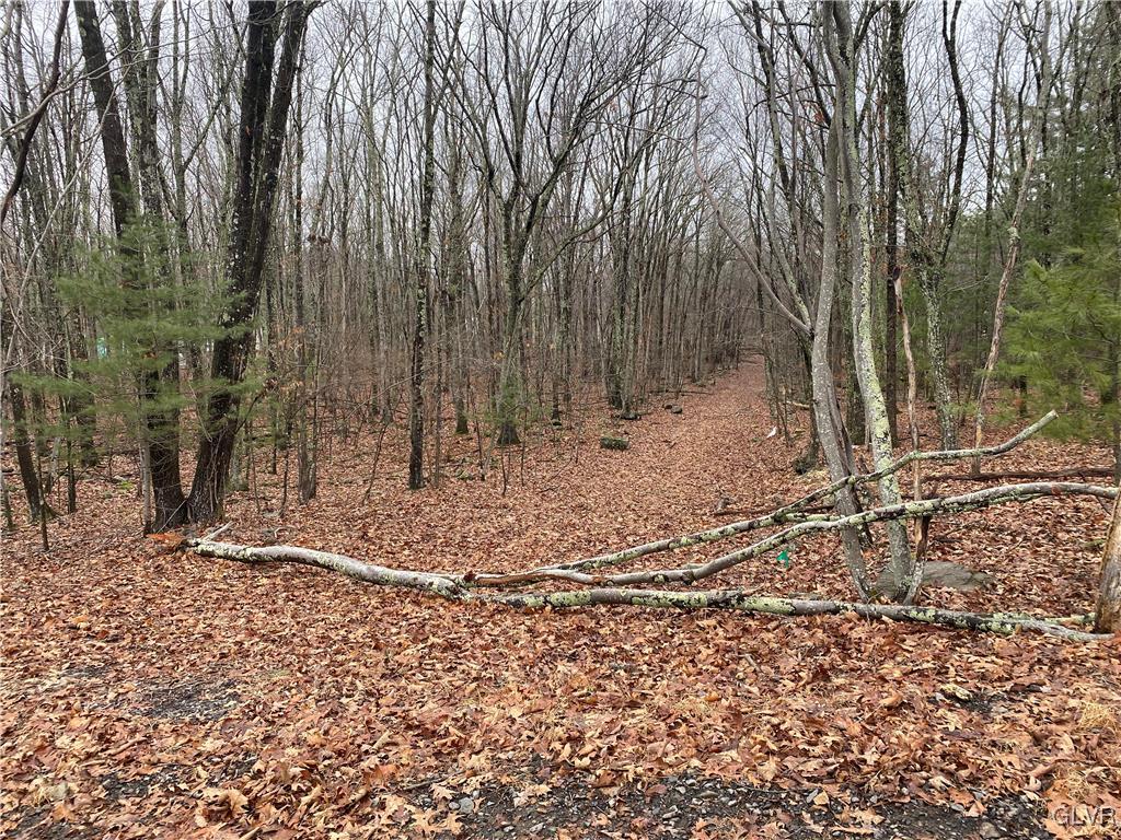 15 Mimosa Road East Stroudsburg, PA 18302 - Photo 2 of 7