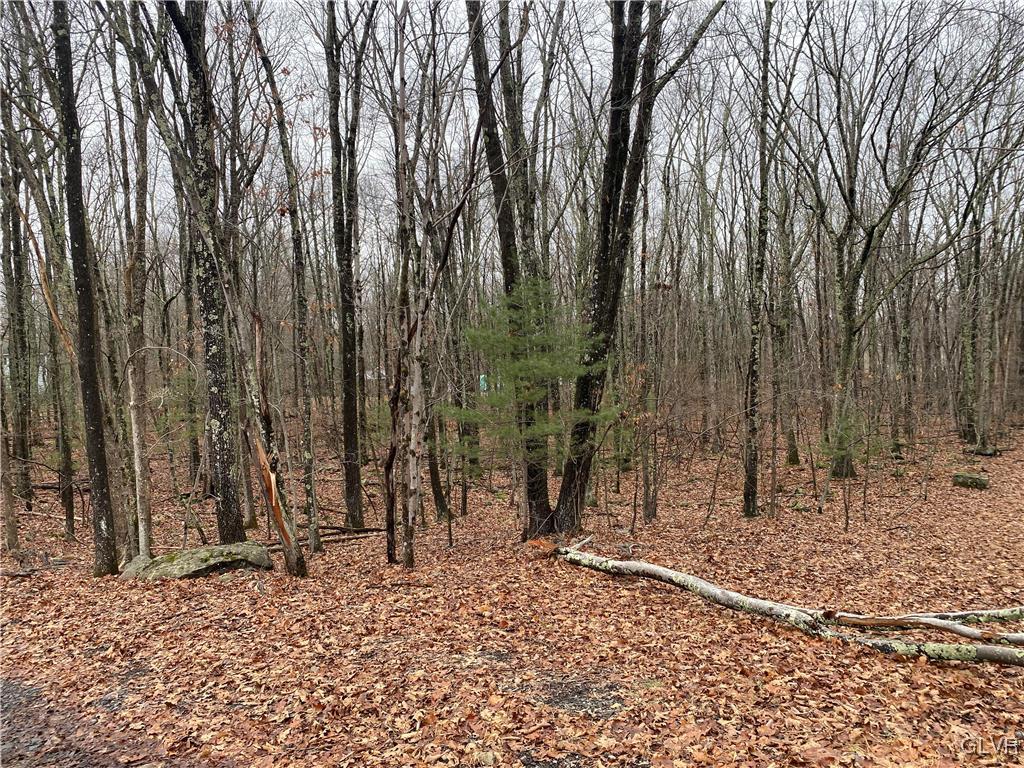 15 Mimosa Road East Stroudsburg, PA 18302 - Photo 3 of 7