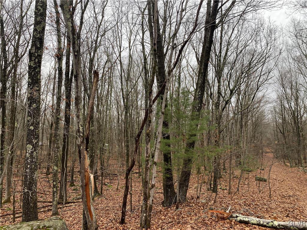 15 Mimosa Road East Stroudsburg, PA 18302 - Photo 4 of 7