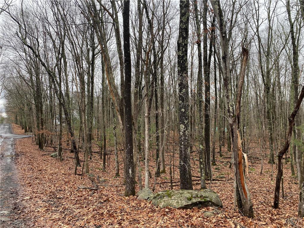 15 Mimosa Road East Stroudsburg, PA 18302 - Photo 5 of 7