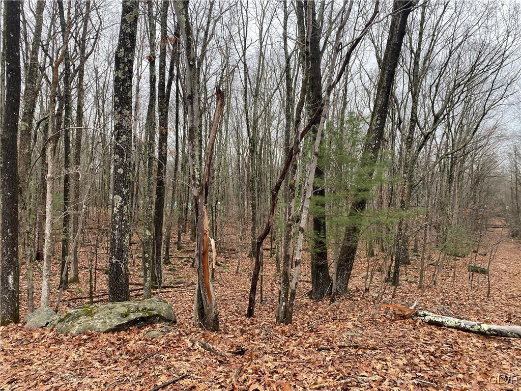 15 Mimosa Road East Stroudsburg, PA 18302 - Photo 6 of 7