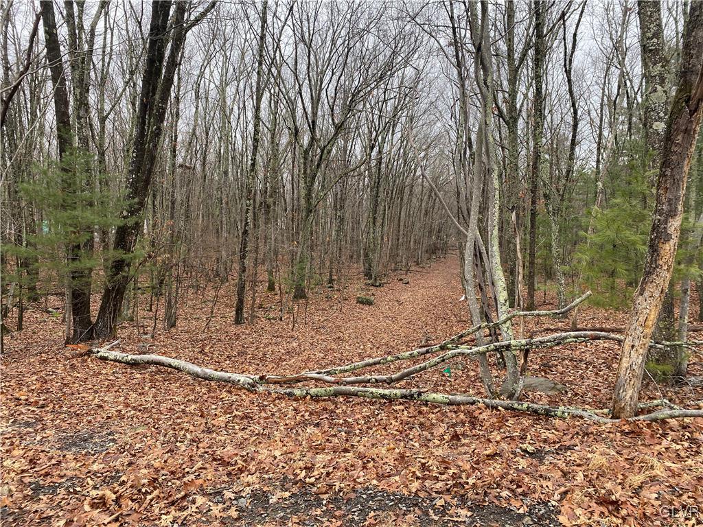 15 Mimosa Road East Stroudsburg, PA 18302 - Photo 7 of 7