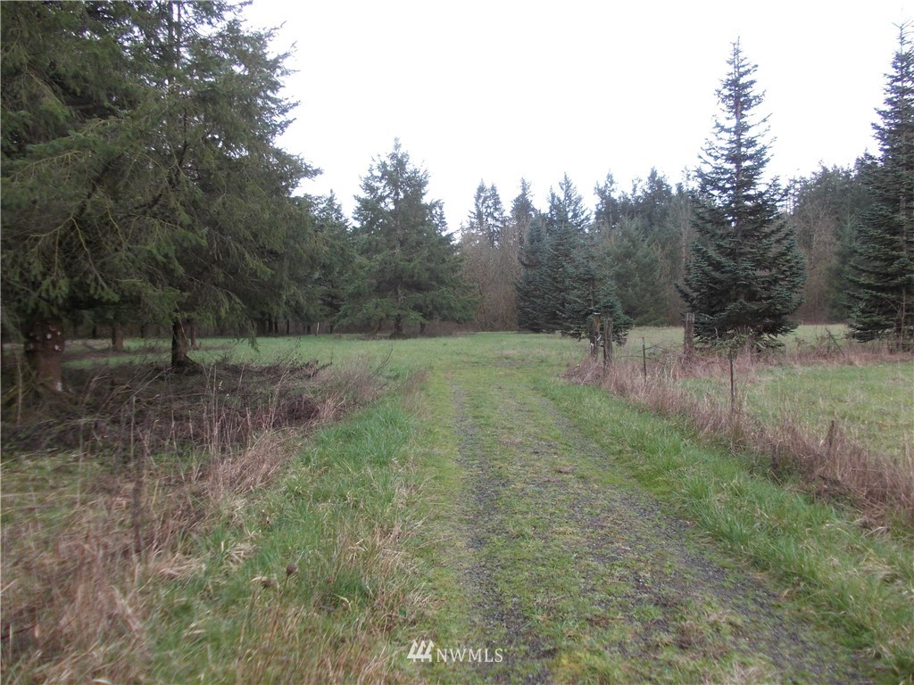11543 School Land Road Southwest Rochester, WA 98579 - Photo 2 of 15