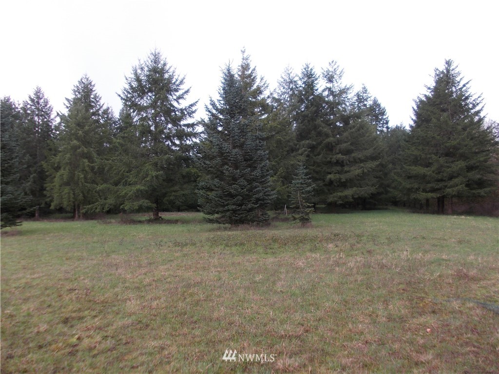 11543 School Land Road Southwest Rochester, WA 98579 - Photo 12 of 15