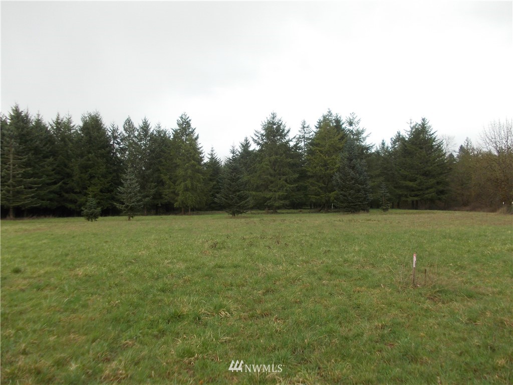 11543 School Land Road Southwest Rochester, WA 98579 - Photo 13 of 15